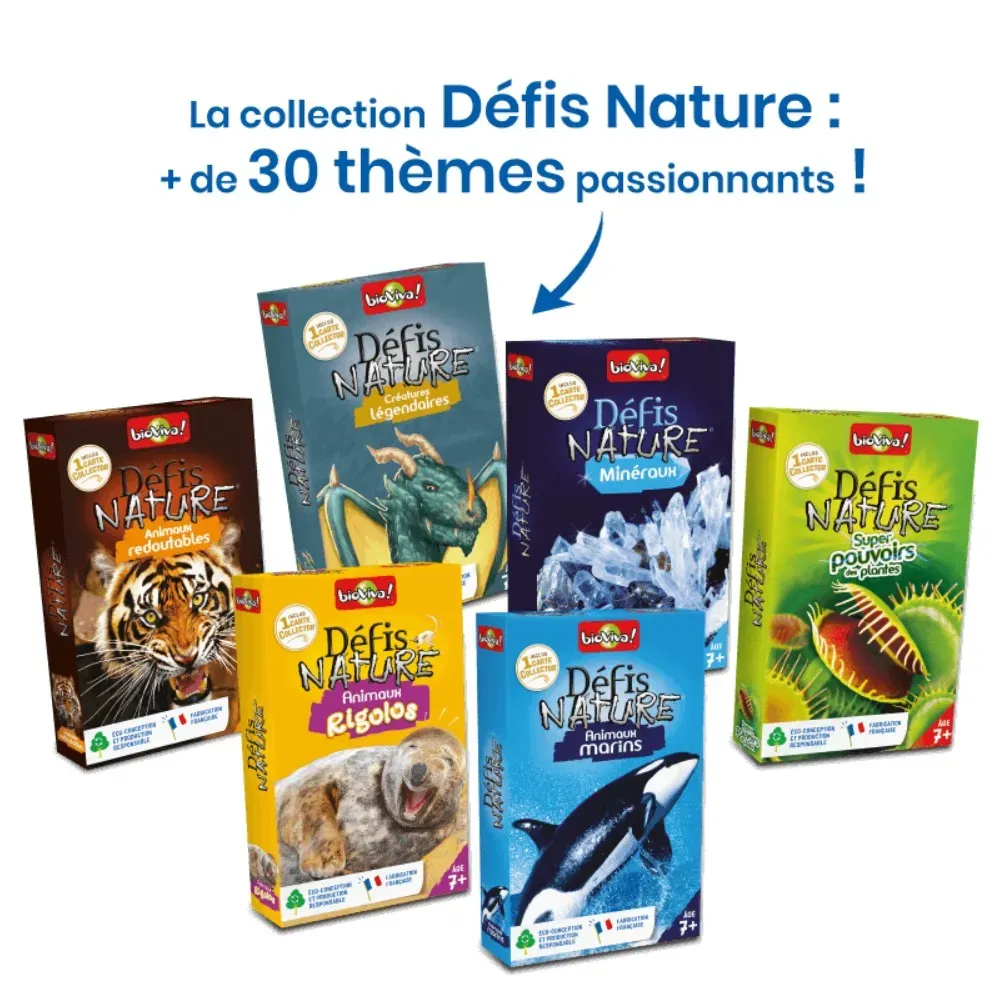 Défis Nature – Chats – Image 5
